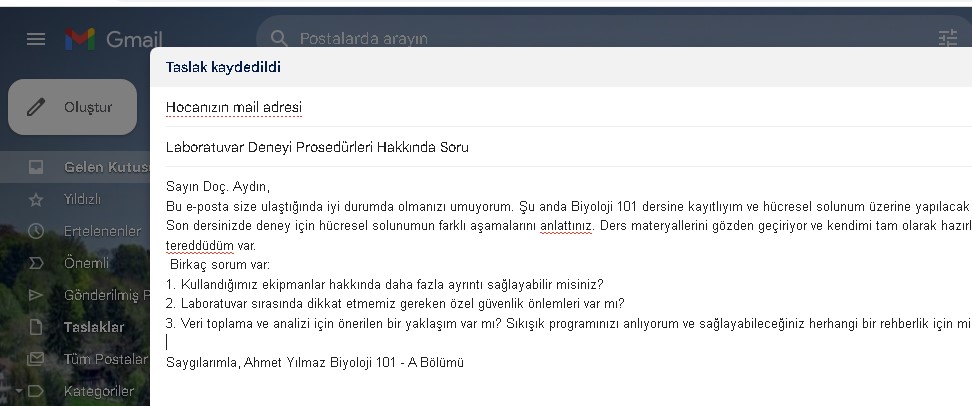 universite-hocasina-mail Üniversite Hocasına Mail Nasıl Atılır