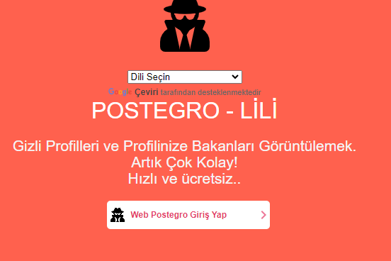 LiliWeb Lili Web Giriş